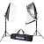 Комплект осветителей Rekam CL-250-FL2-SB Kit (1509000120)