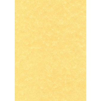 Дизайн-бумага Decadry Пергамент золотой (А4, 95 г/кв.м, 25 листов в упаковке)