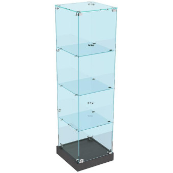 Витрина для товаров Истра 1 закрытая (венге/прозрачный, 450х450х1600 мм)