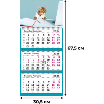 Календарь настенный 3-х блочный 2025 год Рыжий джентльмен (30.5х67.5 см)