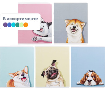 Тетрадь общая Феникс+ Смешные собаки А5+ 48 листов в клетку на скрепках   (TWIN-лак)