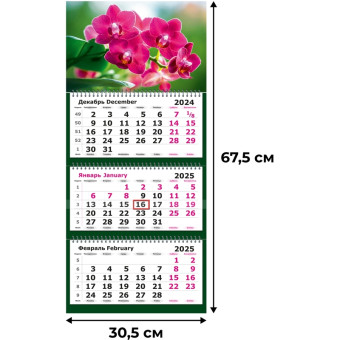 Календарь настенный 3-х блочный 2025 год Орхидея (30.5х67.5 см)