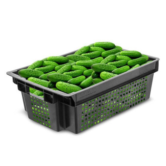 Ящик (лоток) овощной из ПНД 600x400x200 мм черный