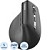 Мышь беспроводная Rapoo EV310M чёрная (EV310M-DGR)