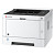 Принтер лазерный Kyocera Ecosys P2040dn (1102RX3NL0)