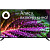 Телевизор 50" BBK 50LEX-8272/UTS2C Ultra HD 4K