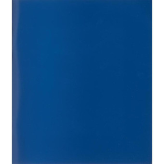 Тетрадь общая А5 96 листов в клетку на скрепке (обложка синяя)