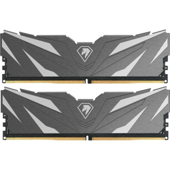 Модуль памяти Netac NTSWD5P48DP-16K DDR5 16 ГБ, 2x8