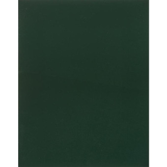 Тетрадь общая А5 48 листов в клетку на скрепке (обложка зеленая)
