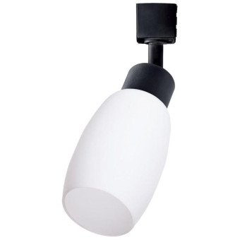 Светильник трековый Arte Lamp MIIA A3055PL-1 черный