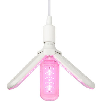 Фитолампа Эра FITO-24W-RB-E27-FOLD 3-х красно-синего спектра 24 Вт E27