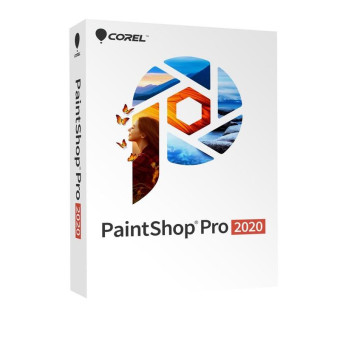 Программное обеспечение PaintShop Pro 2020 Corporate база для 1 ПК на 12 месяцев (электронная лицензия, LCPSP2020ML0)