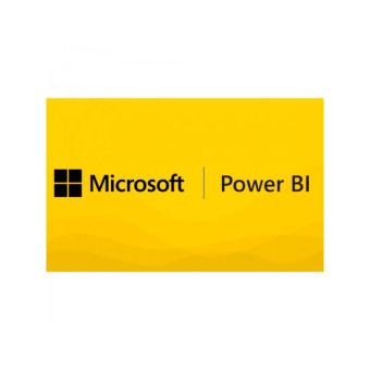 Программное обеспечение Microsoft Power BI Premium P3 электронная лицензия на 1 месяц (AAA-55142)